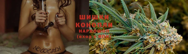 ГАЛЛЮЦИНОГЕННЫЕ ГРИБЫ Сураж