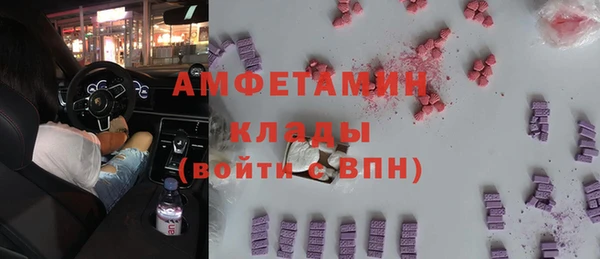 гашик Туринск
