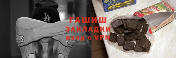 гашик Туринск