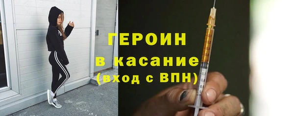 гашик Туринск
