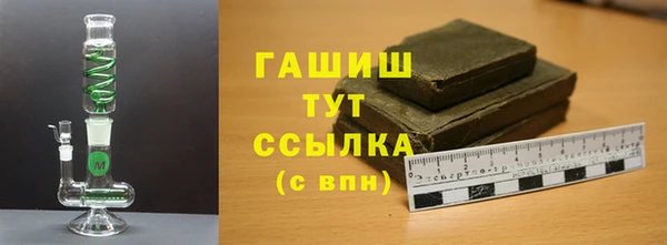 гашик Туринск