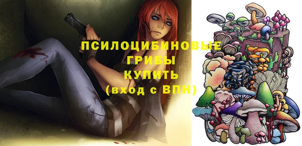 гашик Туринск
