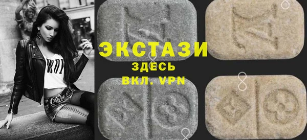 гашик Туринск