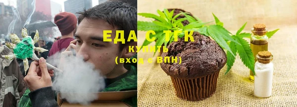 гашик Туринск