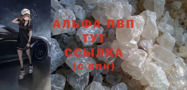 гашик Туринск