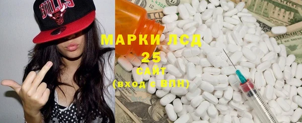 PSILOCYBIN Тында