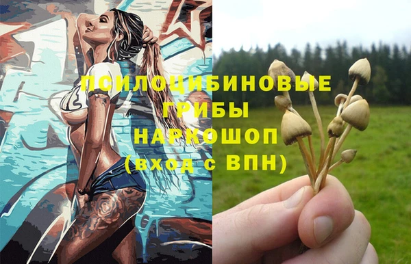 PSILOCYBIN Тында