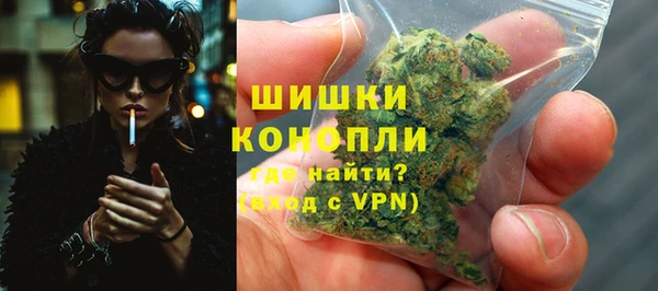 гашик Туринск