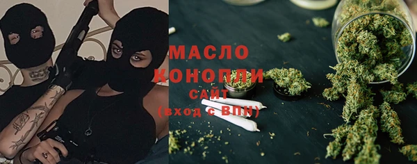 гашик Туринск