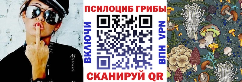 купить наркоту  Орёл  Псилоцибиновые грибы мицелий 